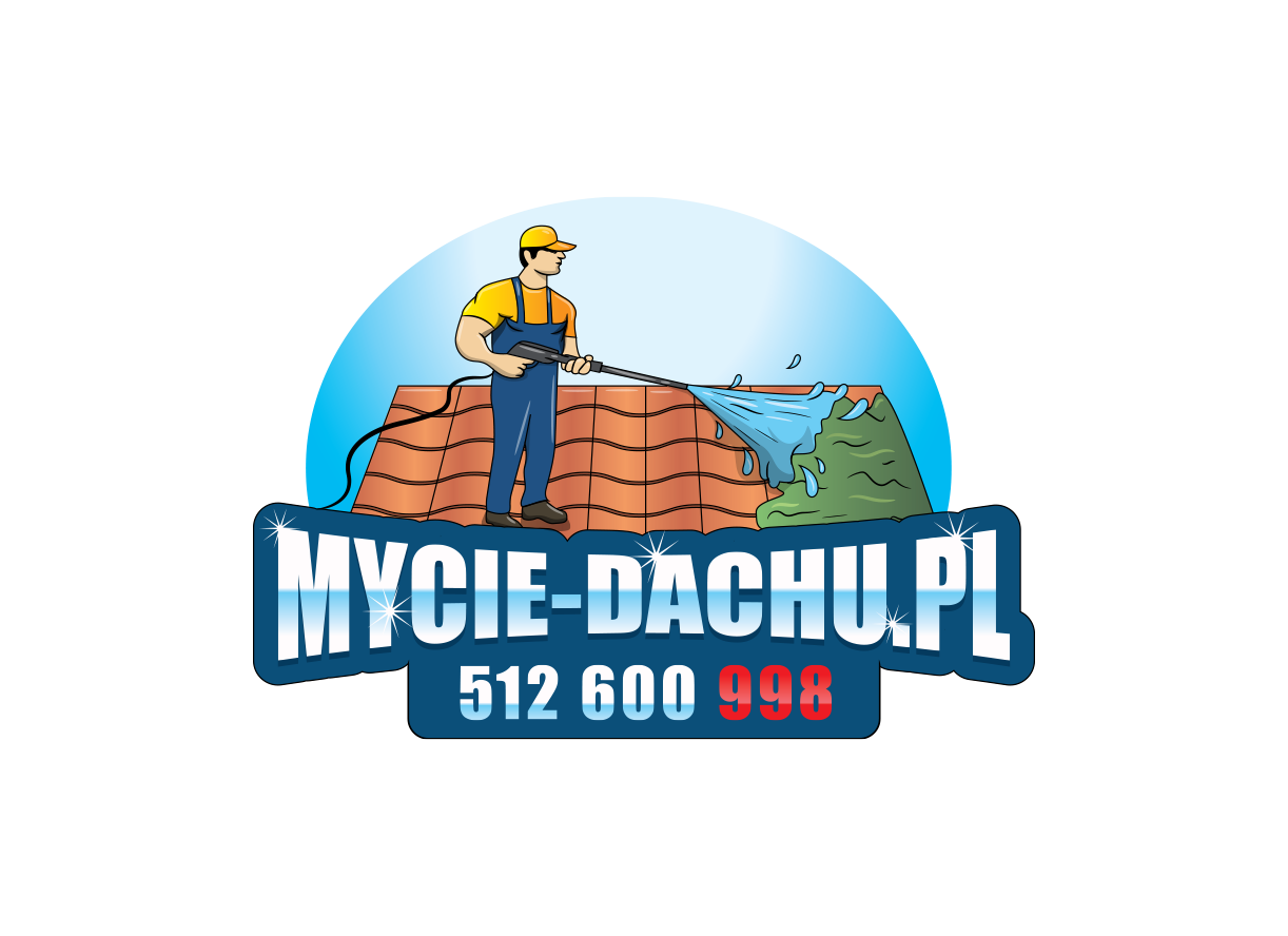 Mycie dachu pl