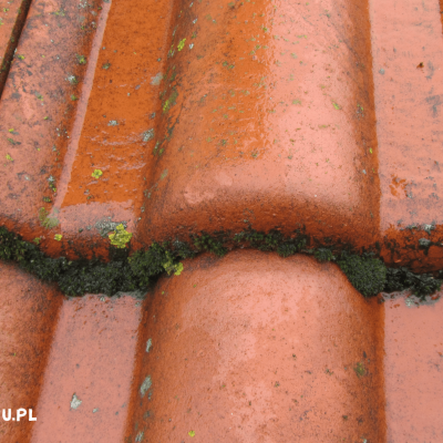 Mycie Dachu Bydgoszcz 31