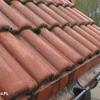 Mycie Dachu Bydgoszcz 4