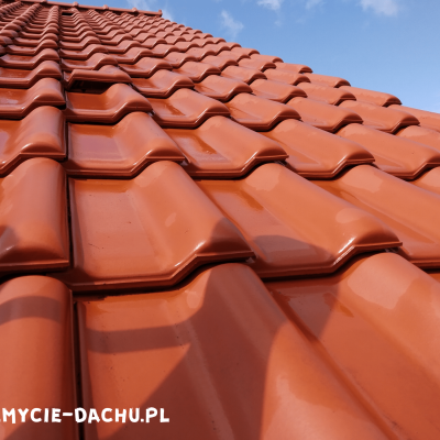 Mycie Dachu Olsztyn 7