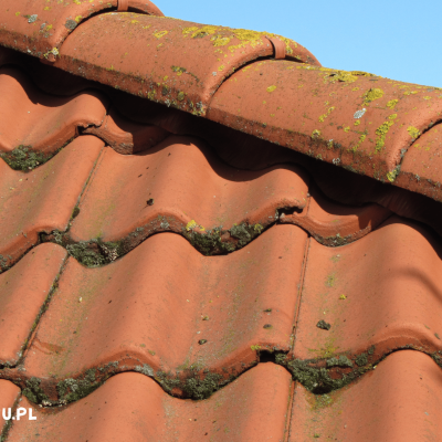 Mycie Dachu Torun 2