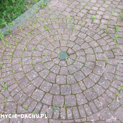 Mycie Kostki Burkowej 2